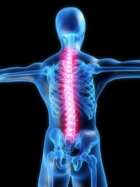 Esercizio per il mal di schiena